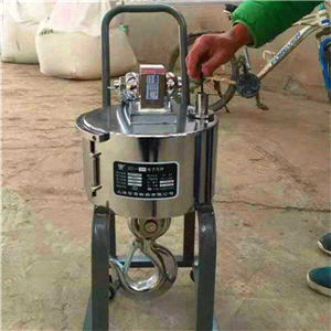 贛州3噸無線打印電子吊磅