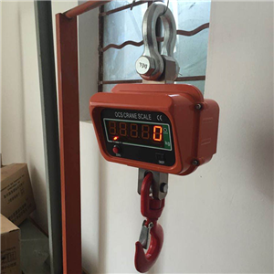 衡陽3000kg碼頭吊卸電子吊鉤秤