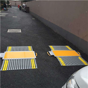 岳陽100T*檢測便攜式移動地磅價格
