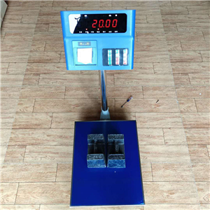 寧鄉100kg打印電子臺秤