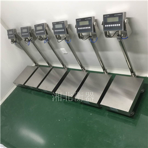 株洲EX防爆計重60kg電子稱