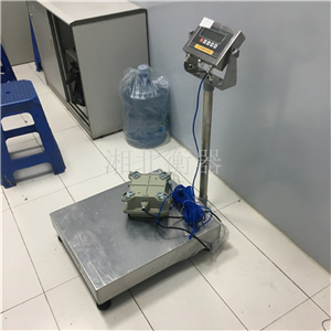 耀華EX-A8本安防爆電子臺秤100kg價格