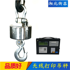 郴州10噸無線打印電子吊秤